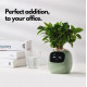 Інтерактивний розумний горщик для рослин Ivy Smart Planter Tuya AI, Pink