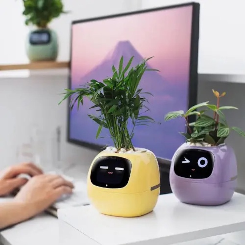 Інтерактивний розумний горщик для рослин Ivy Smart Planter Tuya AI, White