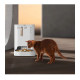 Смарт годівниця PETKIT Yumshare Dual-Hopper with Camera (P591)