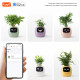 Інтерактивний розумний горщик для рослин Ivy Smart Planter Tuya AI, Yellow
